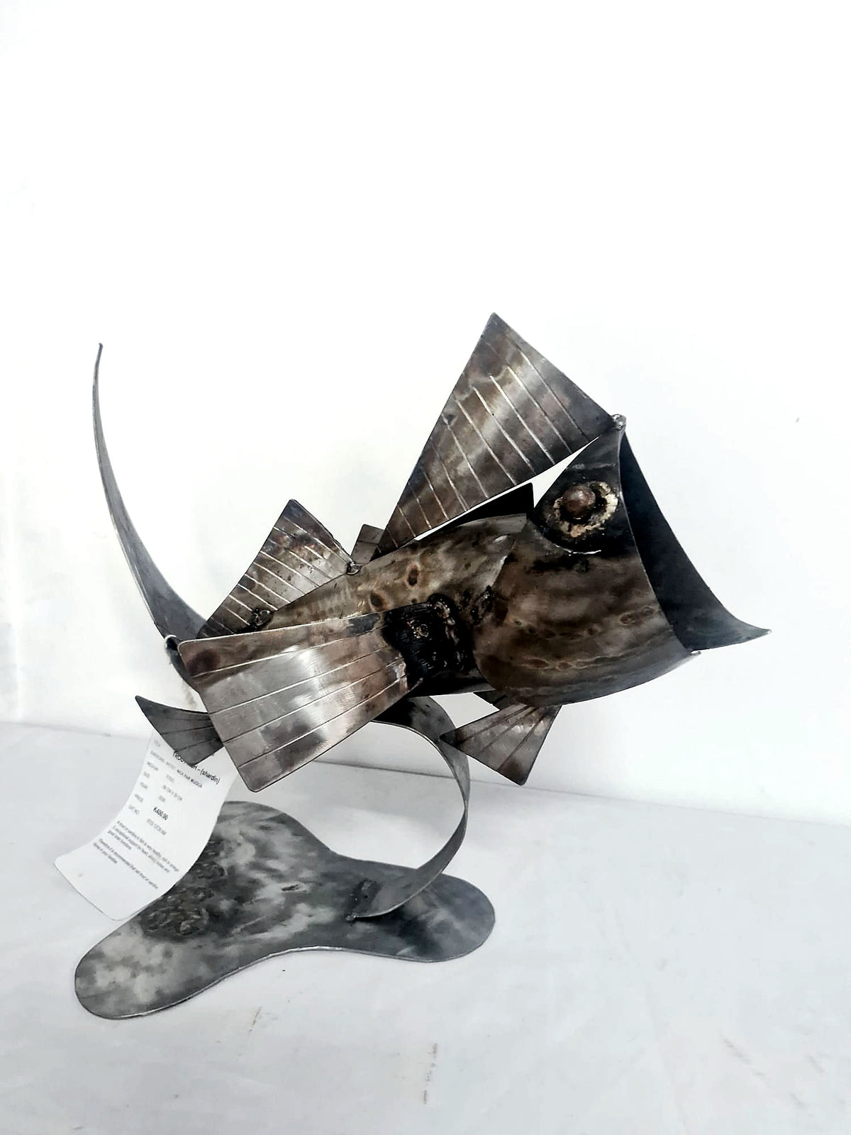 Trout Fish